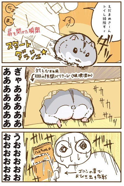 『今日もハムスターから目が離せない！』より