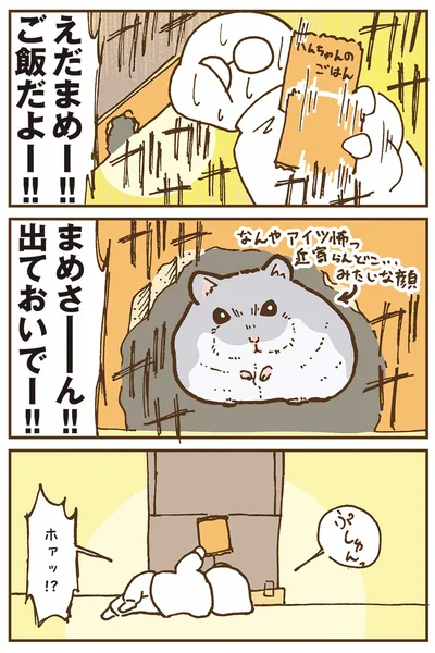 『今日もハムスターから目が離せない！』より