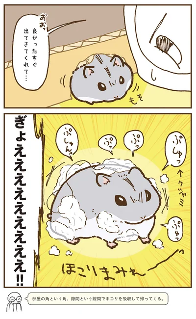『今日もハムスターから目が離せない！』より
