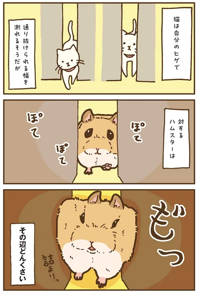 『今日もハムスターから目が離せない！』より