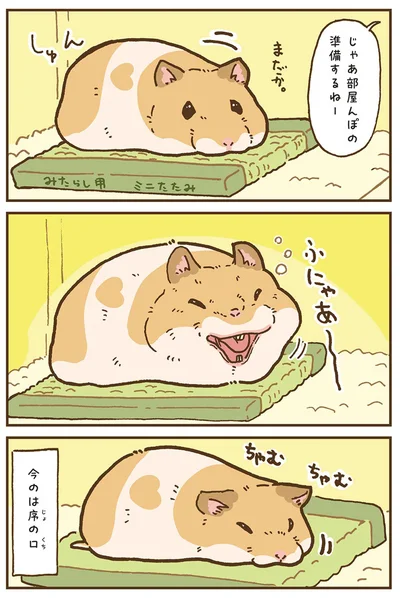 『今日もハムスターから目が離せない！』より