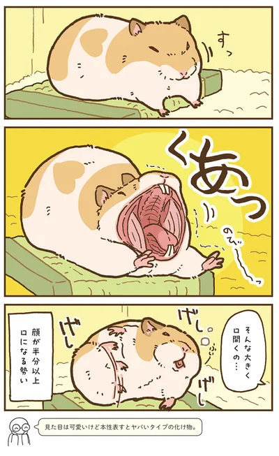 『今日もハムスターから目が離せない！』より