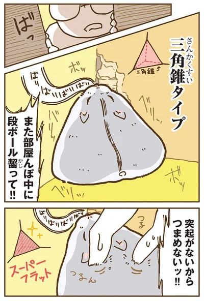 『今日もハムスターから目が離せない！』より
