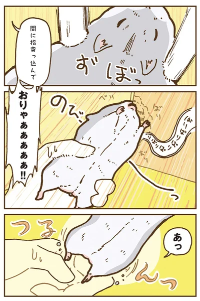 『今日もハムスターから目が離せない！』より
