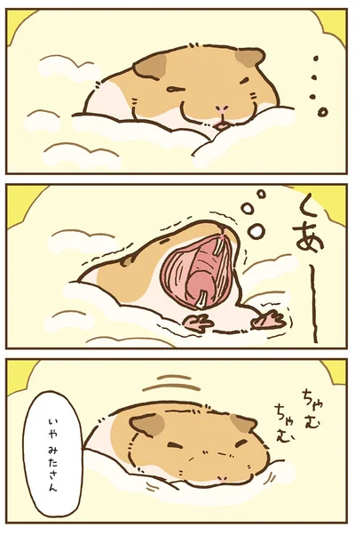『今日もハムスターから目が離せない！』より