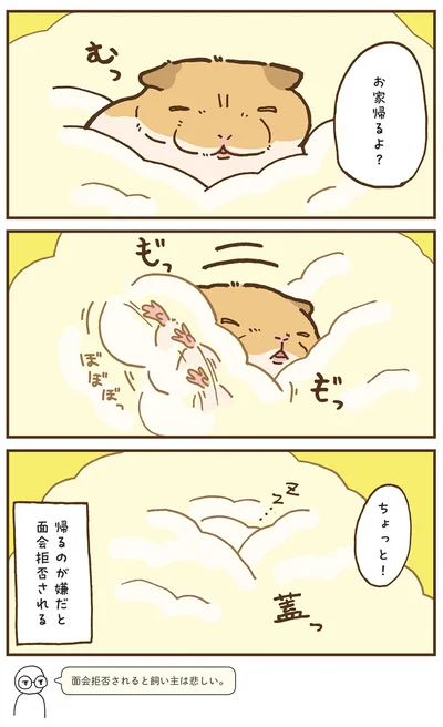 『今日もハムスターから目が離せない！』より
