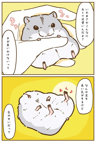 『今日もハムスターから目が離せない！』より