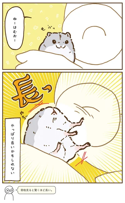 『今日もハムスターから目が離せない！』より
