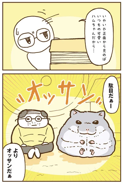 『今日もハムスターから目が離せない！』より