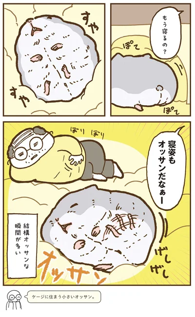 『今日もハムスターから目が離せない！』より