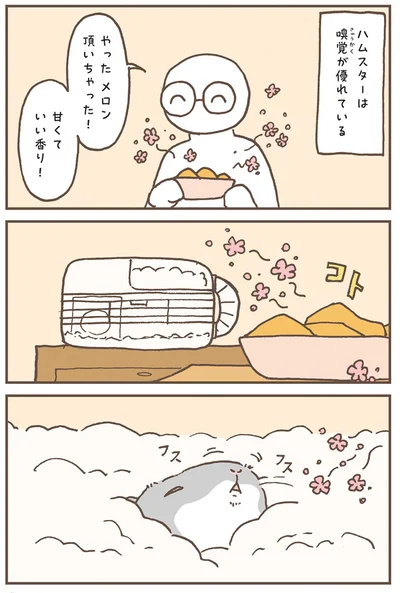 『今日もハムスターから目が離せない！』より