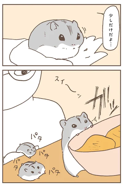『今日もハムスターから目が離せない！』より