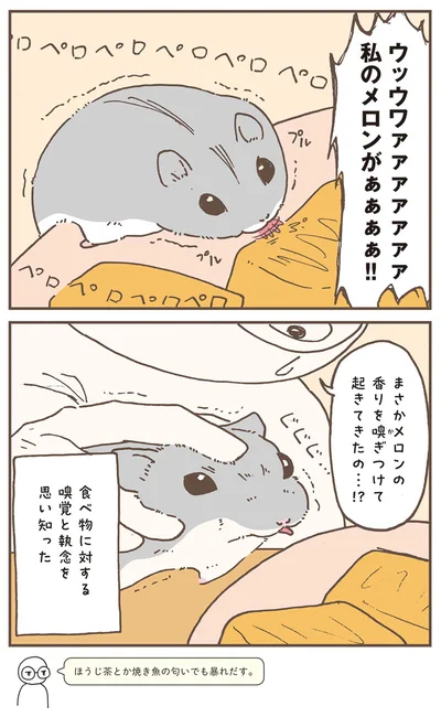『今日もハムスターから目が離せない！』より
