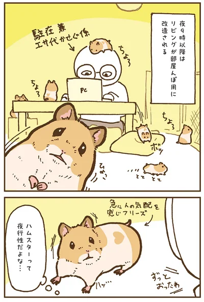 『今日もハムスターから目が離せない！』より