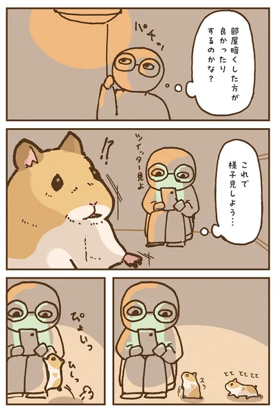 『今日もハムスターから目が離せない！』より
