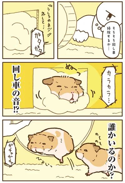 『今日もハムスターから目が離せない！』より