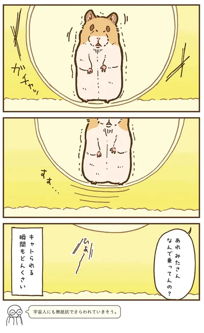 『今日もハムスターから目が離せない！』より