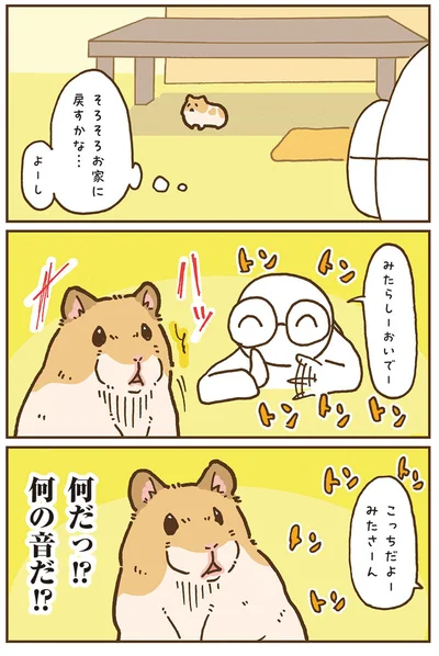 『今日もハムスターから目が離せない！』より