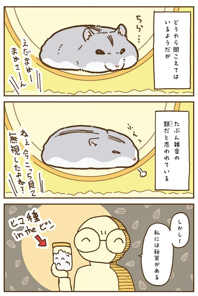 『今日もハムスターから目が離せない！』より