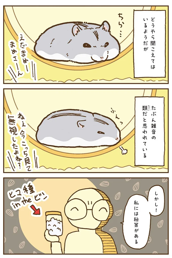 『今日もハムスターから目が離せない！』より