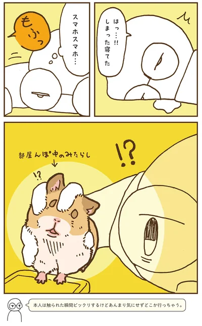 『今日もハムスターから目が離せない！』より