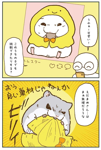 『今日もハムスターから目が離せない！』より