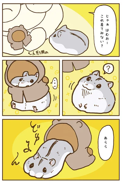 『今日もハムスターから目が離せない！』より