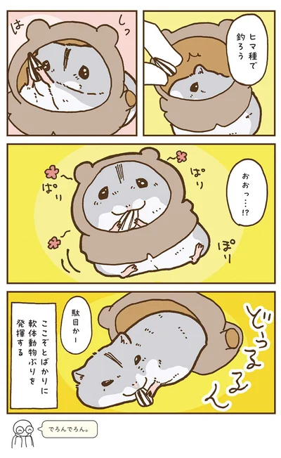 『今日もハムスターから目が離せない！』より