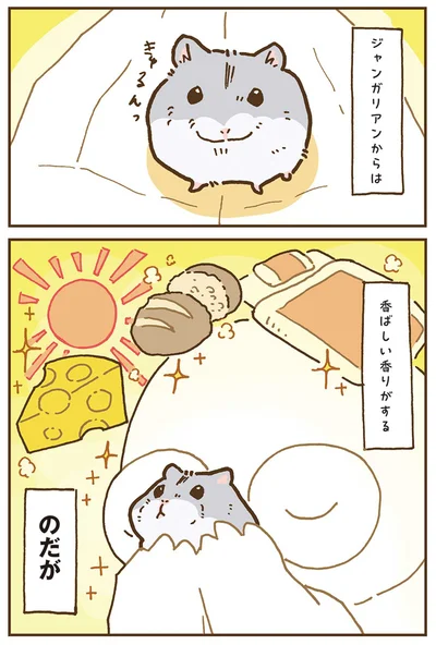 『今日もハムスターから目が離せない！』より