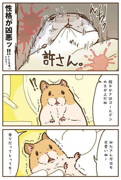 『今日もハムスターから目が離せない！』より