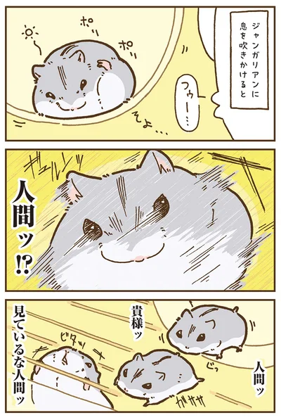 『今日もハムスターから目が離せない！』より