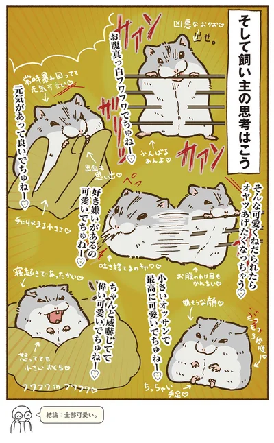『今日もハムスターから目が離せない！』より