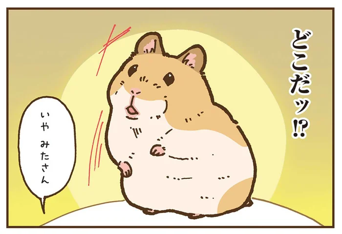 どんくさすぎて心配になる！飼い主の体によじのぼったハムスター／今日もハムスターから目が離せない！（2）