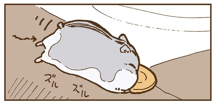 どんな体勢になっても食べ続ける！おやつ以外は気にしないハムスター／今日もハムスターから目が離せない！（6）