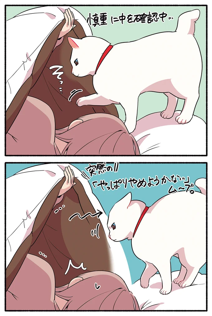 慎重に中を確認中