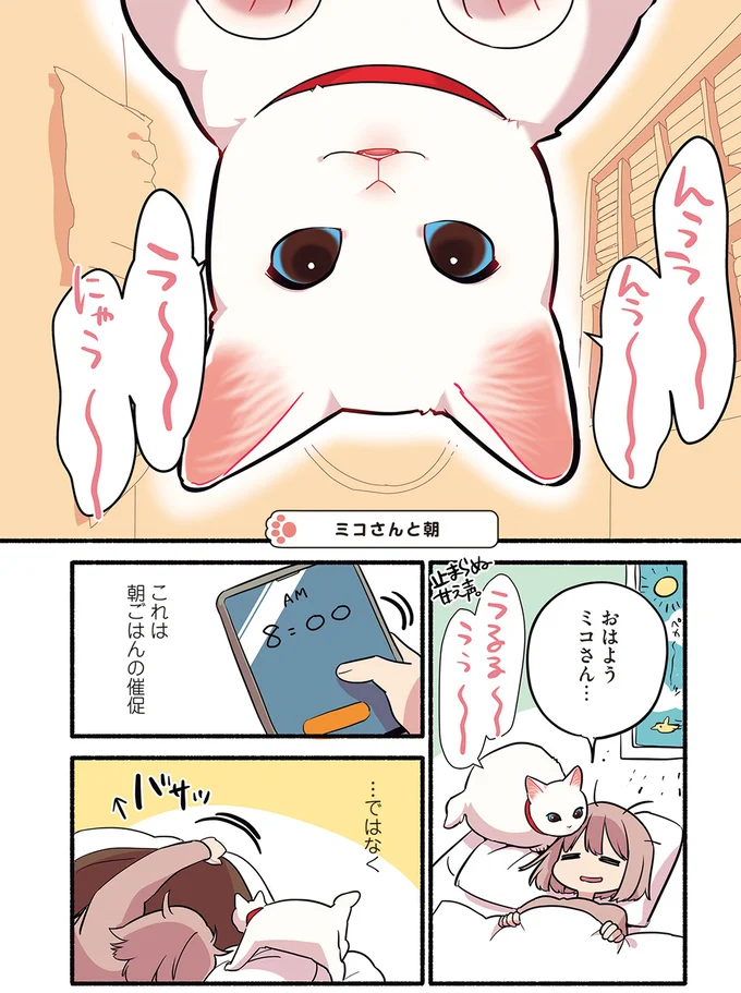 朝ごはんの催促