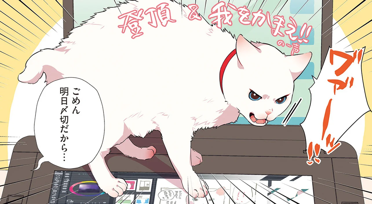 白猫さん　 IQが5億ある？ 飼い主に構われるための術を理解しすぎている白猫／愛