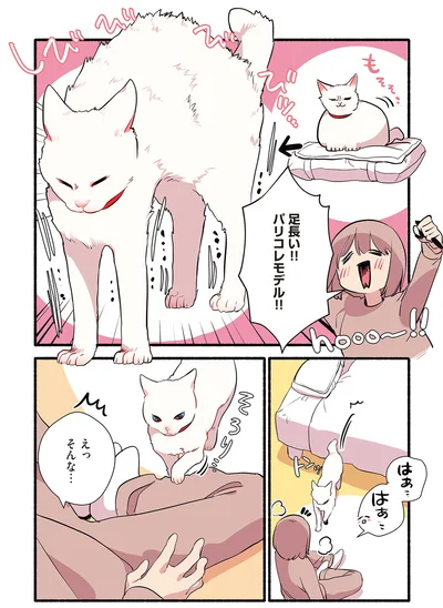 パリコレモデル！！