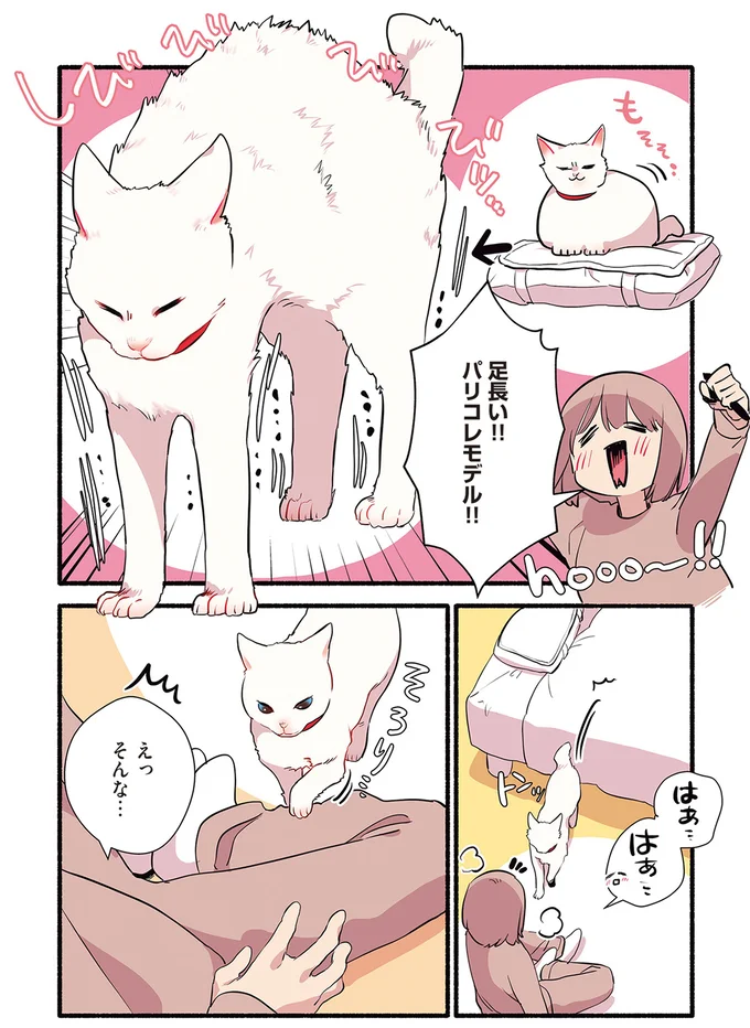 パリコレモデル！！
