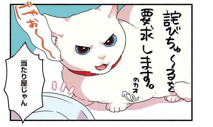 もはや当たり屋じゃん！ どうしてもお気に入りのフードが欲しい猫の作戦とは／愛されたがりの白猫ミコさん（6）
