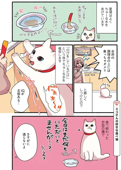 まだ何もいただいてませんが…？