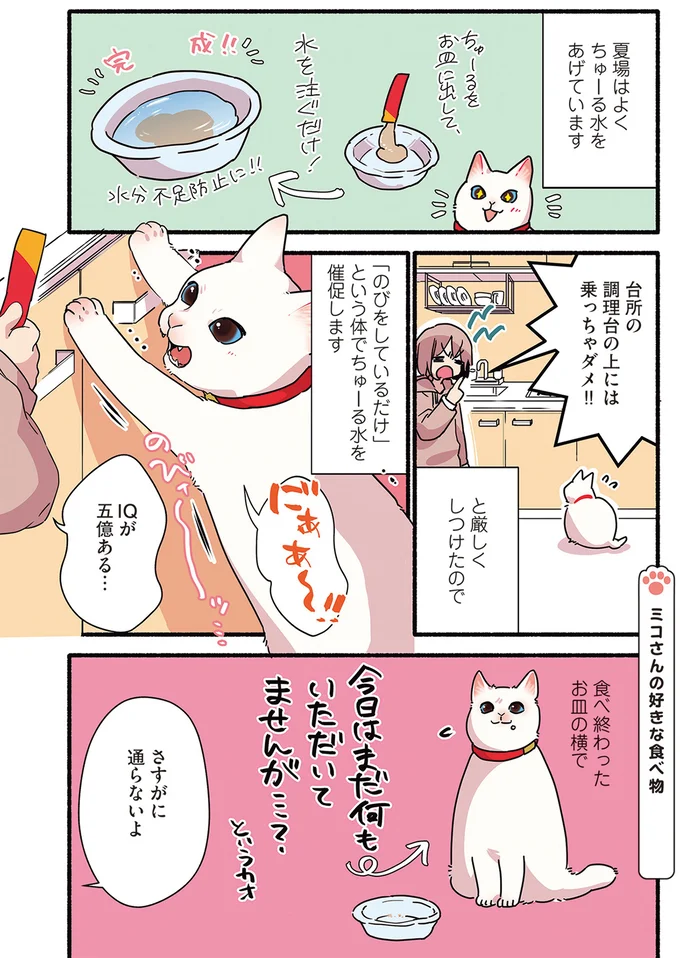 まだ何もいただいてませんが…？