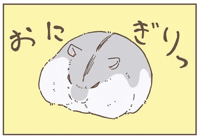 おにぎりっ