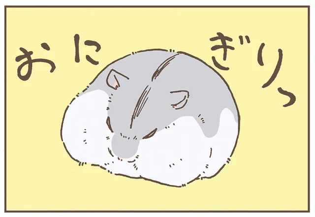 愛らしい見た目からは想像つかない。ハムスターの骨格のナゾ／今日もハムスターから目が離せない！（9）