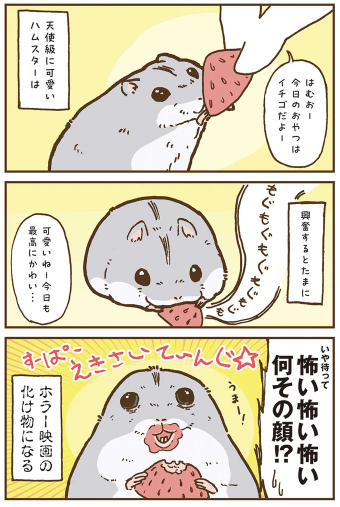 今日のおやつはイチゴだよー