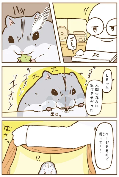 ゲージを毛布で覆って......