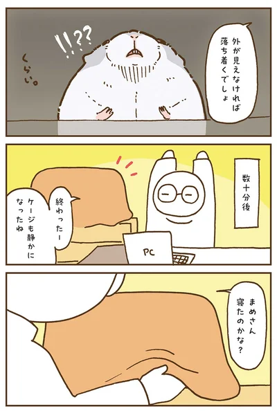 外が見えなければ落ち着くでしょ