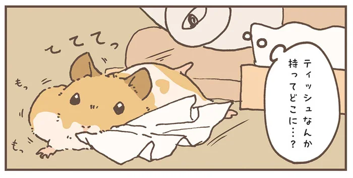 深夜2時。ハムスターがティッシュを引きずっていった先／今日もハムスターから目が離せない！（13）