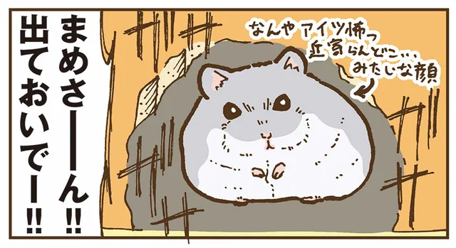 ケージを開けた瞬間脱走！隙間に潜り込んだハムスターが吸収したものとは／今日もハムスターから目が離せない！（14）