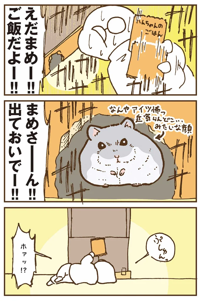 えだまめー！！ご飯だよー！！